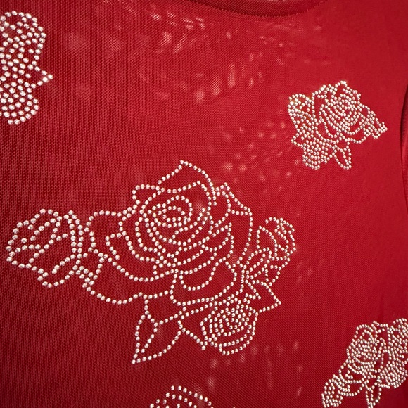 Faded Rose Red Rhinestone Mesh Crop Top - Picture 3 of 6